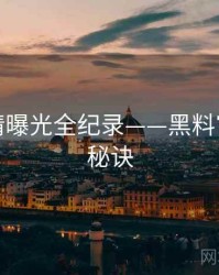 全景恋情曝光全纪录——黑料官网爆火秘诀