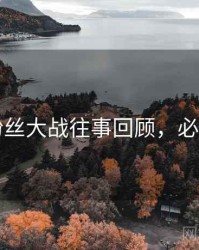 91网粉丝大战往事回顾，必看指南