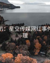 独家深扒：星空传媒网红事件公众心理