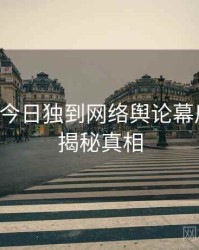 黑料网今日独到网络舆论幕后真相，揭秘真相