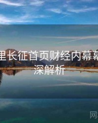 黑料万里长征首页财经内幕幕后故事深解析