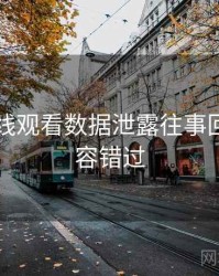 51网在线观看数据泄露往事回顾，不容错过