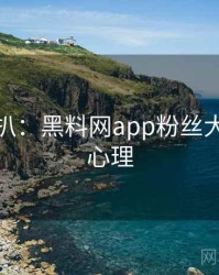独家深扒：黑料网app粉丝大战公众心理