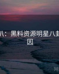 独家深扒：黑料资源明星八卦背后原因