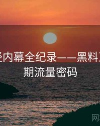 最新财经内幕全纪录——黑料正能量往期流量密码